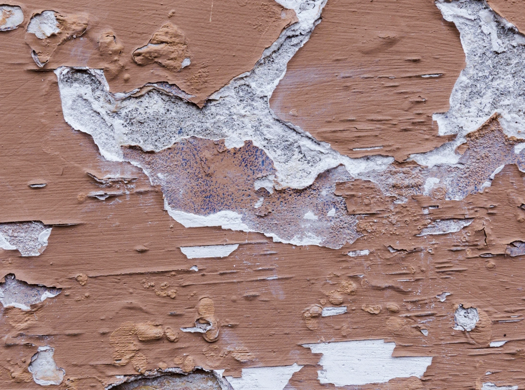 A image of Blistering Paint from wall.