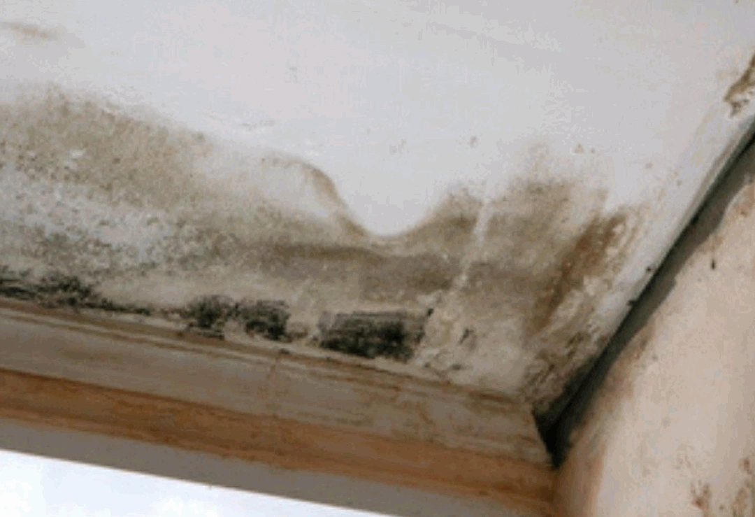 A Image of roof with leakage from ceiling corner.